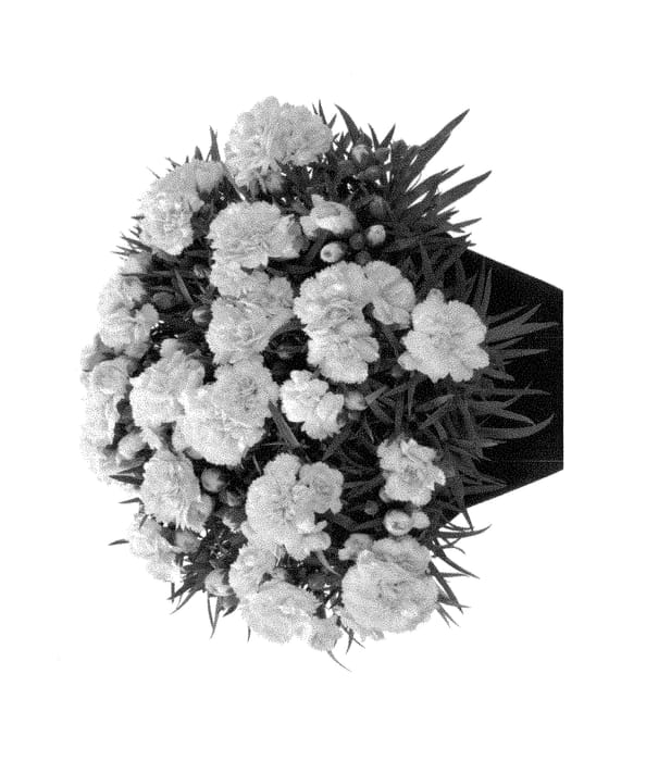 Figure 1 of US plant patent PP28514, the photograph of Hilamber printed in the patent.