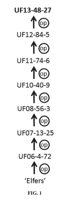 Figure 1 of US plant patent PP28517, the photograph of UF13-48-27 printed in the patent.