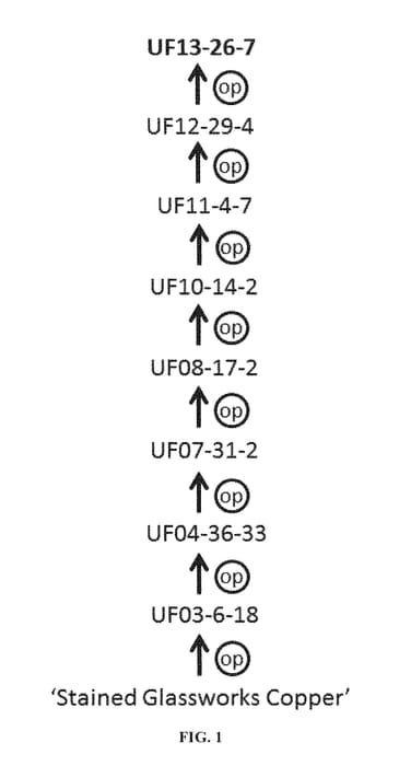 Figure 1 of US plant patent PP28591, the photograph of UF13-26-7 printed in the patent.