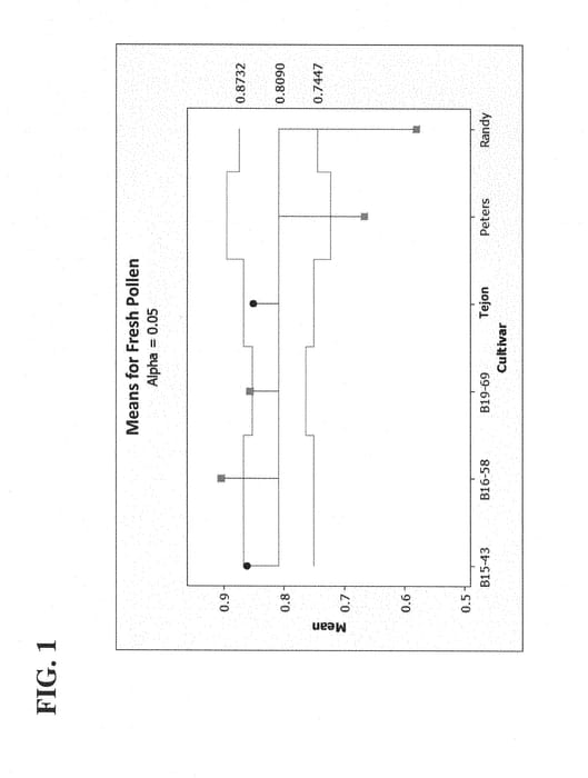Figure 1 of US plant patent PP28931, the photograph of Tejon printed in the patent.
