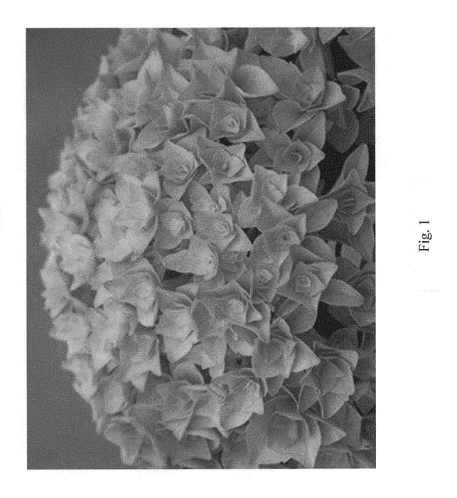 Figure 1 of US plant patent PP29324, the photograph of Strabru printed in the patent.