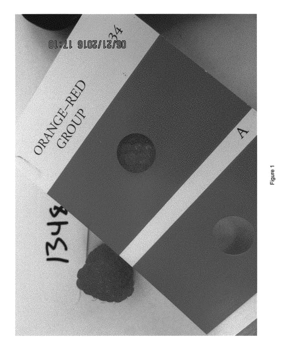 Figure 1 of US plant patent PP29368, the photograph of PBBrasp1348 printed in the patent.