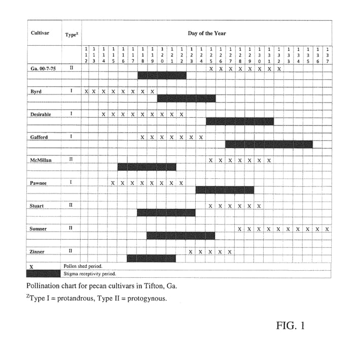 Figure 1 of US plant patent PP30227, the photograph of Ga. 00-7-75 printed in the patent.