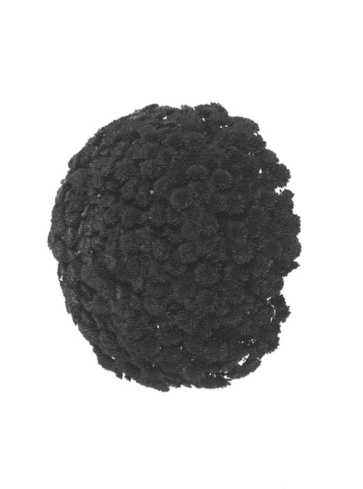 Figure 1 of US plant patent PP30479, the photograph of Fichryevenpur printed in the patent.