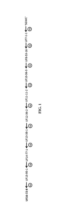 Figure 1 of US plant patent PP30570, the photograph of UF16-72-8 printed in the patent.