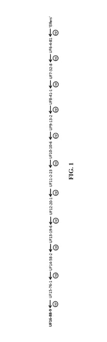 Figure 1 of US plant patent PP30585, the photograph of UF16-88-9 printed in the patent.