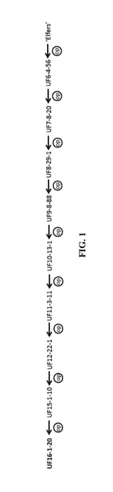 Figure 1 of US plant patent PP30586, the photograph of UF16-1-20 printed in the patent.