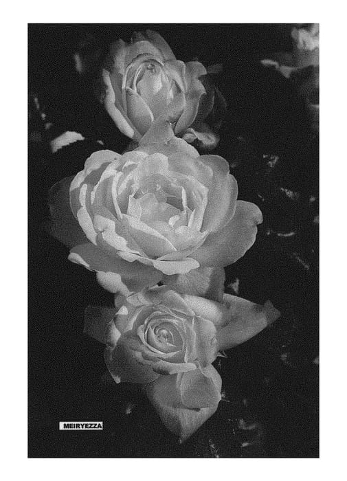 Figure 1 of US plant patent PP30844, the photograph of MEIRYEZZA printed in the patent.