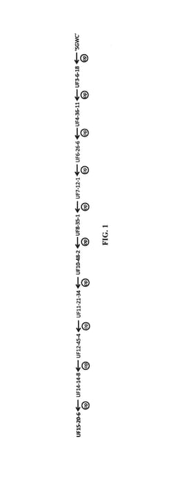 Figure 1 of US plant patent PP30969, the photograph of UF15-20-6 printed in the patent.