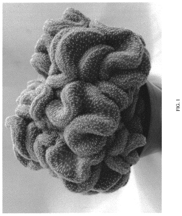 Figure 1 of US plant patent PP31389, the photograph of Mystic Maze printed in the patent.