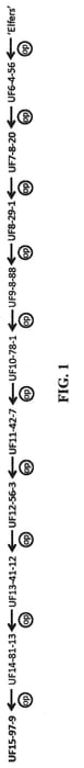 Figure 1 of US plant patent PP31425, the photograph of UF15-97-9 printed in the patent.