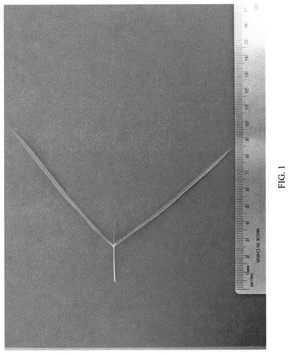 Figure 1 of US plant patent PP31464, the photograph of KSUZ 0802 printed in the patent.