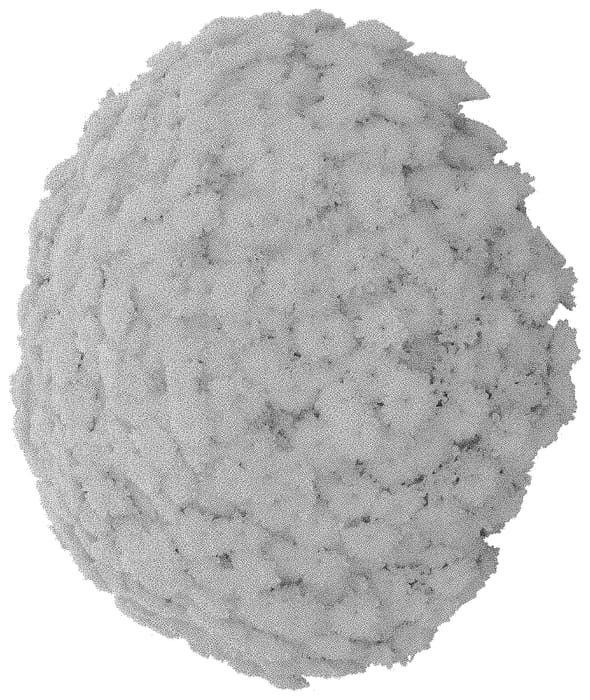 Figure 1 of US plant patent PP31537, the photograph of Domsudiyel printed in the patent.