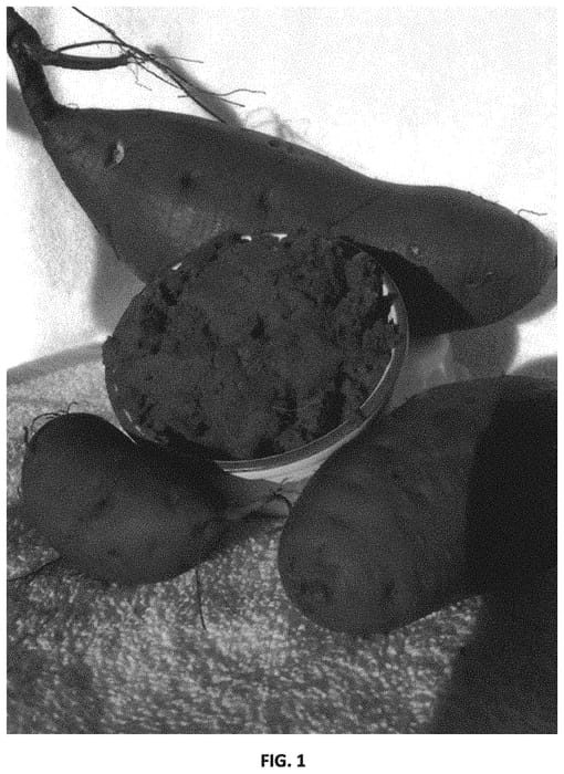 Figure 1 of US plant patent PP32142, the photograph of Charleston-163 printed in the patent.