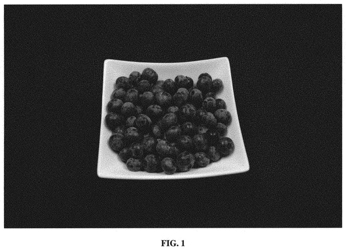 Figure 1 of US plant patent PP32182, the photograph of WAYNE printed in the patent.