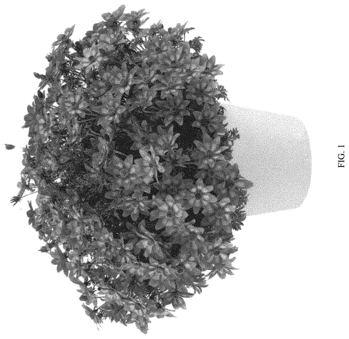 Figure 1 of US plant patent PP32335, the photograph of FSBIDBER printed in the patent.