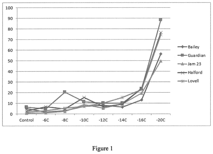 Figure 1 of US plant patent PP32854, the photograph of JAM 23 printed in the patent.