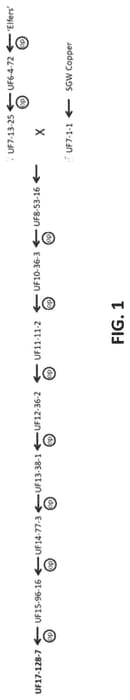 Figure 1 of US plant patent PP33343, the photograph of UF17-128-7 printed in the patent.