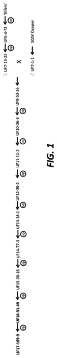 Figure 1 of US plant patent PP34005, the photograph of UF17-109-9 printed in the patent.