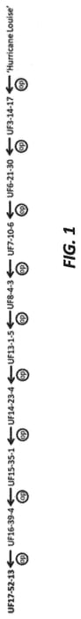 Figure 1 of US plant patent PP34042, the photograph of UF17-52-13 printed in the patent.