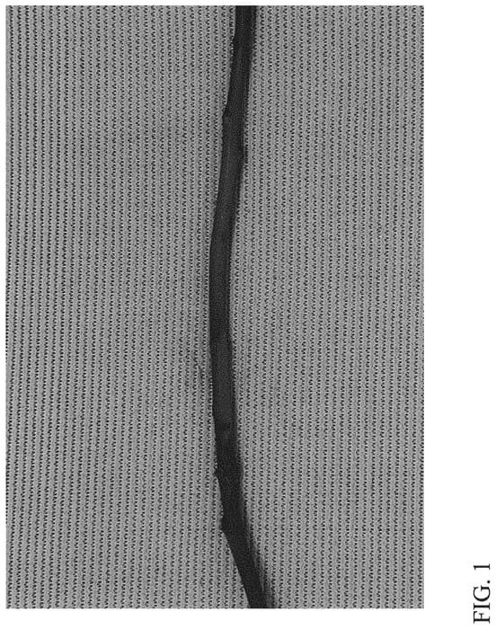 Figure 1 of US plant patent PP34067, the photograph of DrisBlueTwentyFour printed in the patent.
