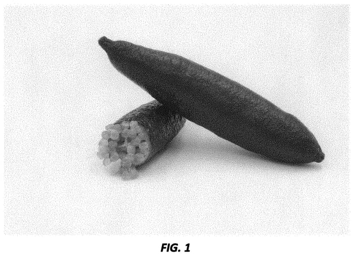 Figure 1 of US plant patent PP34188, the photograph of UF RedLime printed in the patent.