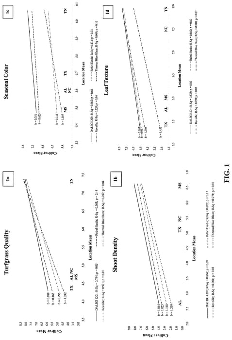 Figure 1 of US plant patent PP34672, the photograph of DALBG 1201 printed in the patent.