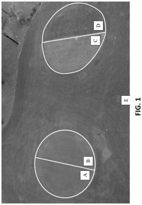 Figure 1 of US plant patent PP35087, the photograph of 12-TG-101 printed in the patent.