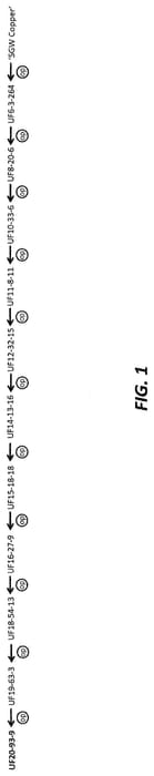 Figure 1 of US plant patent PP35344, the photograph of UF20-93-9 printed in the patent.