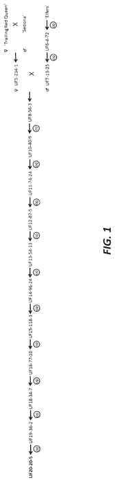 Figure 1 of US plant patent PP35600, the photograph of UF20-20-5 printed in the patent.