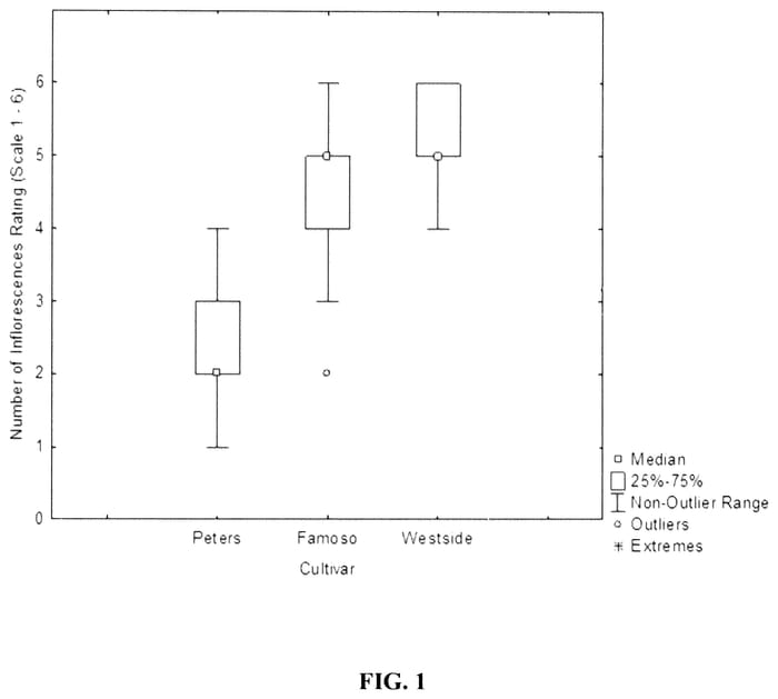 Figure 1 of US plant patent PP35677, the photograph of UC Westside printed in the patent.