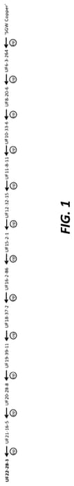 Figure 1 of US plant patent PP35710, the photograph of UF22-28-3 printed in the patent.