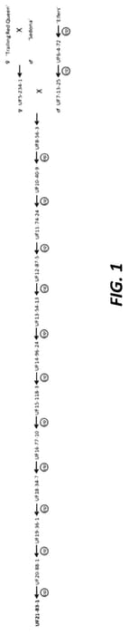 Figure 1 of US plant patent PP35711, the photograph of UF21-83-1 printed in the patent.