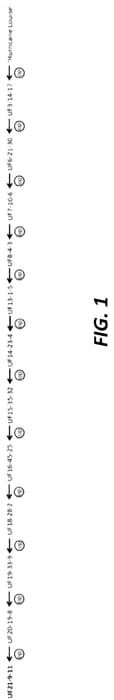 Figure 1 of US plant patent PP35712, the photograph of UF21-9-11 printed in the patent.