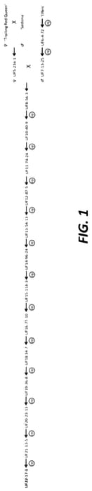 Figure 1 of US plant patent PP35713, the photograph of UF22-17-1 printed in the patent.