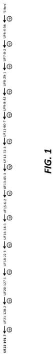 Figure 1 of US plant patent PP35715, the photograph of UF22-191-7 printed in the patent.
