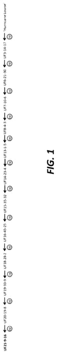Figure 1 of US plant patent PP35723, the photograph of UF21-9-16 printed in the patent.