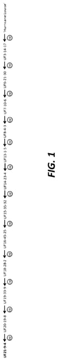 Figure 1 of US plant patent PP35724, the photograph of UF21-9-4 printed in the patent.