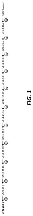 Figure 1 of US plant patent PP35789, the photograph of UF22-284-1 printed in the patent.