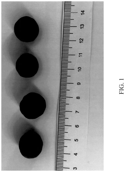Figure 1 of US plant patent PP35829, the photograph of DrisBlueThirty printed in the patent.