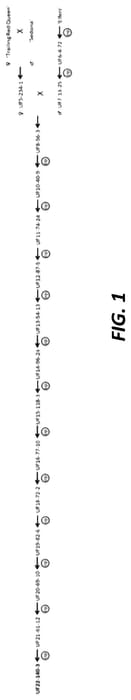 Figure 1 of US plant patent PP35847, the photograph of UF22-140-3 printed in the patent.