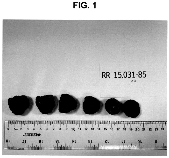 Figure 1 of US plant patent PP35900, the photograph of PS-15.031-85 printed in the patent.