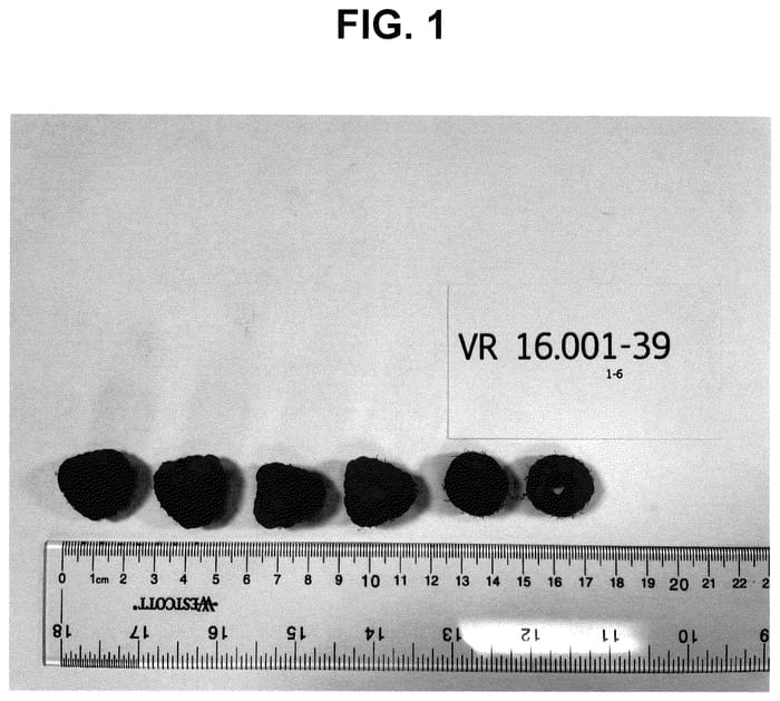Figure 1 of US plant patent PP35902, the photograph of VR-16.001-39 printed in the patent.