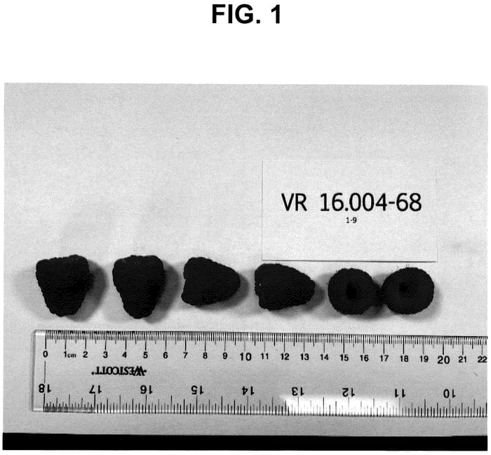 Figure 1 of US plant patent PP35977, the photograph of VR-16.004-68 printed in the patent.