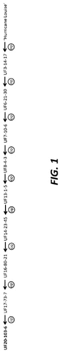 Figure 1 of US plant patent PP36005, the photograph of UF20-103-6 printed in the patent.