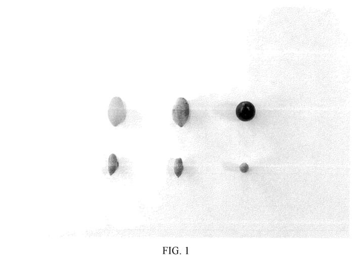 Figure 1 of US plant patent PP36661, the photograph of I 72 printed in the patent.